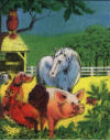 My Farm Adventure